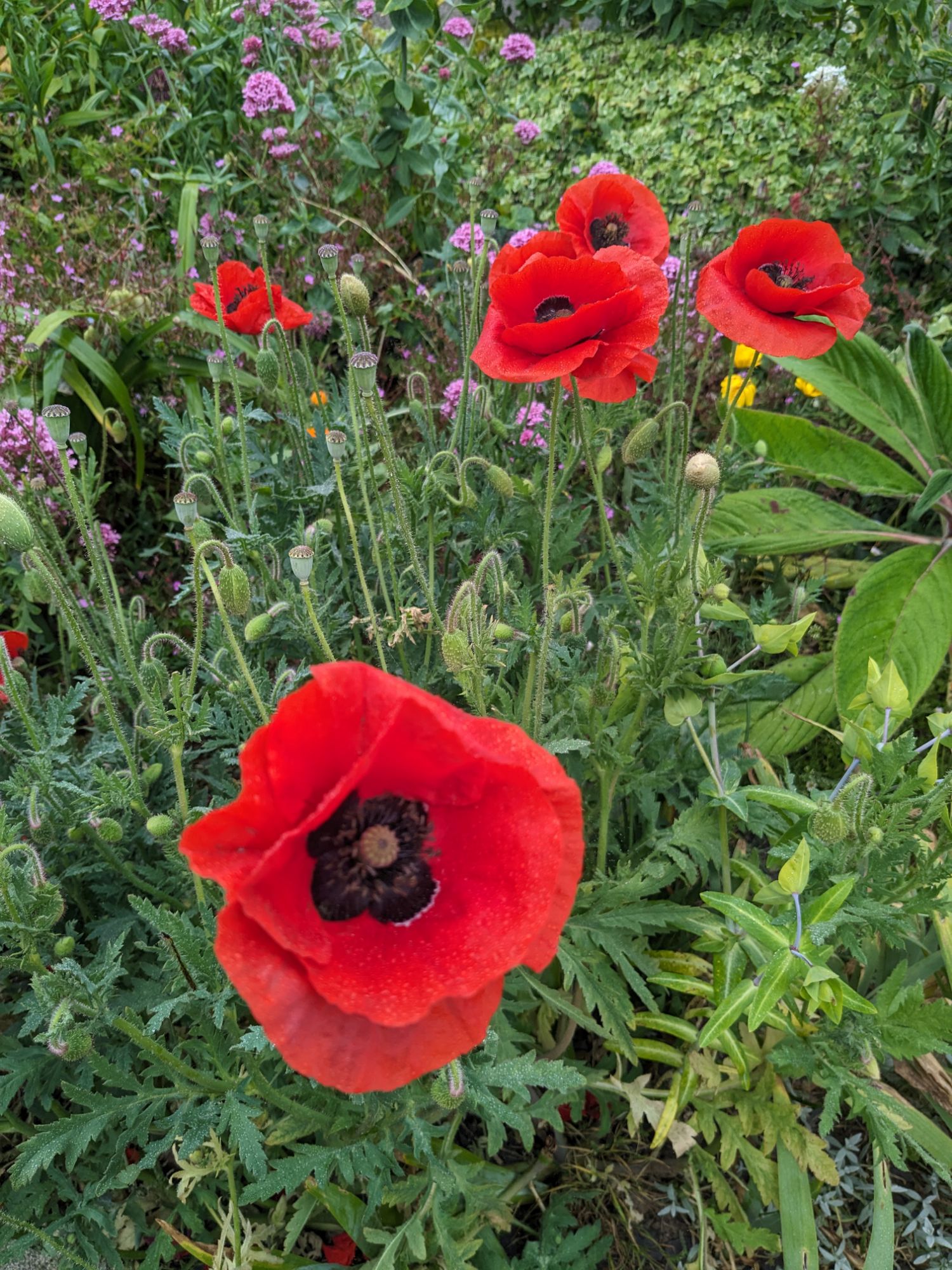 Theoldmortuary Ponders Theoldmortuary Design